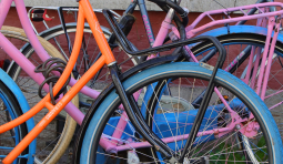 Maastricht rosa Fahrrad